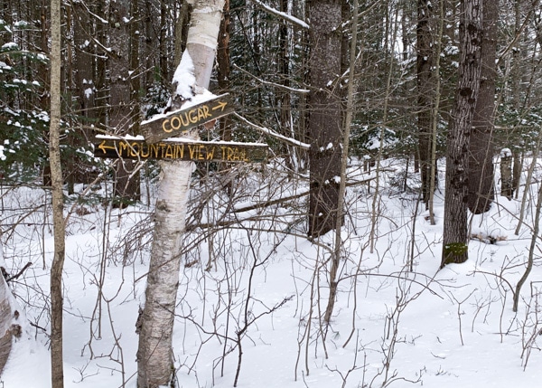 Wooden signs posted to a tree indicating cross-country trail names and directions.