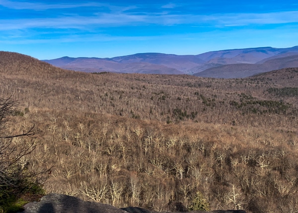 View of the Catskills from the peak of Giant Ledge. The trees are bare of leaves and the sky is very blue.