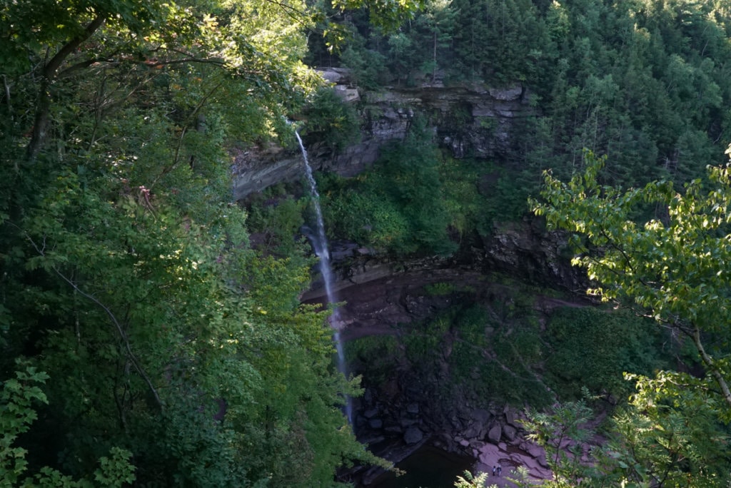 A two-tiered waterfall shown from a distance. Is surrounded by green leafy trees. 