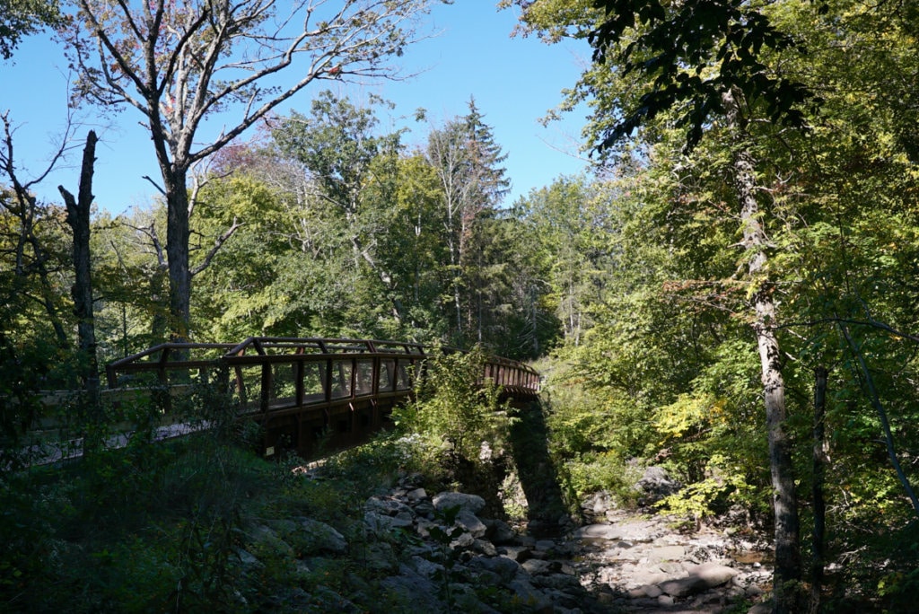 A wooden bridge over a small creek on a hiking trail.