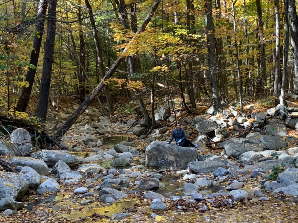 A dried out riverbed with large and small boulders, surrounded by trees.