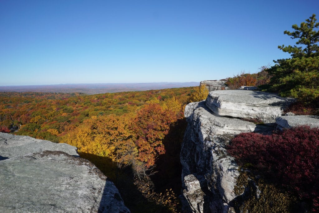 A long distance view of fall foliage viewed from a flat rocky ledge.