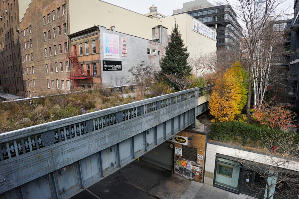 The High Line with views of several trees turning yellow in the fall. 