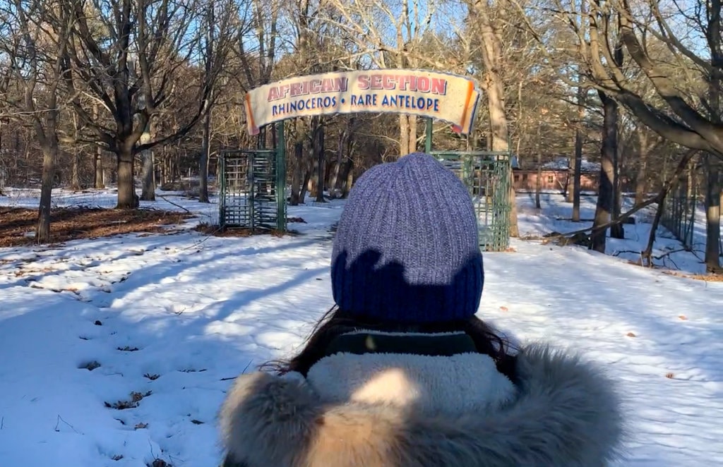 The back of a woman's head walking toward an old zoo sign that says, "African Section: Rhinoceros Rare Antelope."