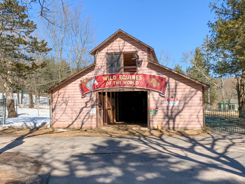 Pink building with a red sign that says, "Wild Equines of the World."