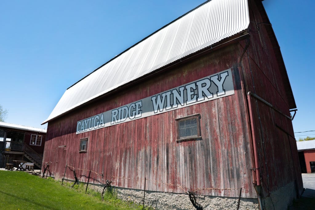 A faded red barn with a sign across it that says, Cayuga Ridge Winery.