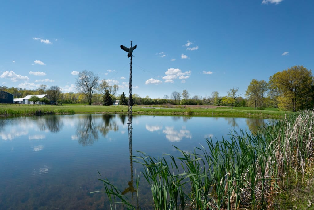 Sculpture of a goose in flight at the top of a tall pole, sitting on the shore of a pond. 
