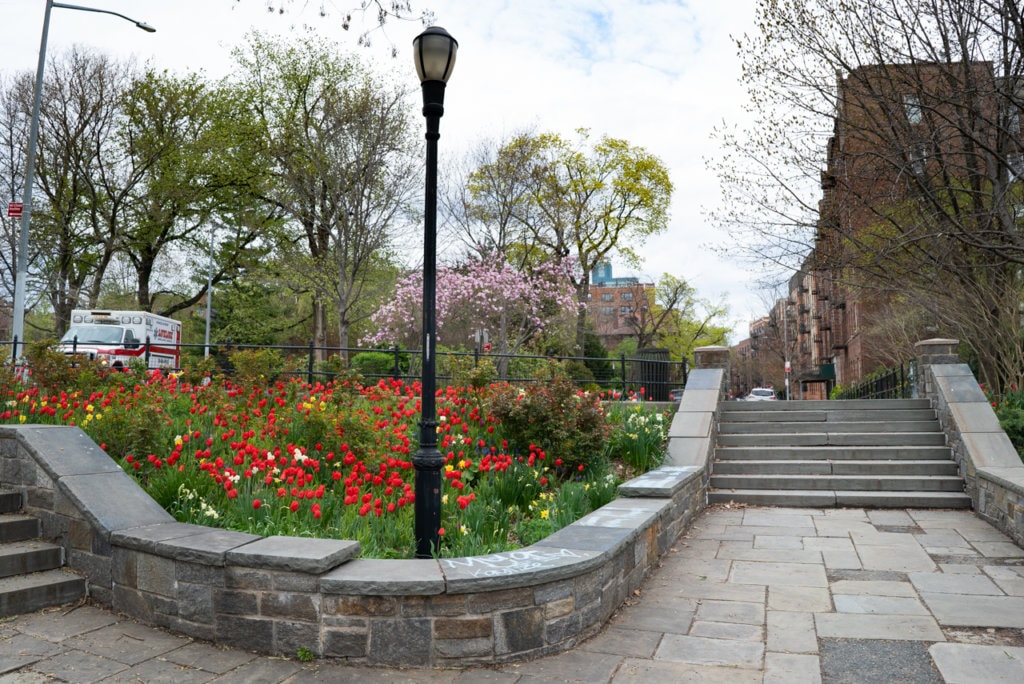 Concrete steps in Isham Park leading up to a city street. A garden of red tulips is in the foreground.