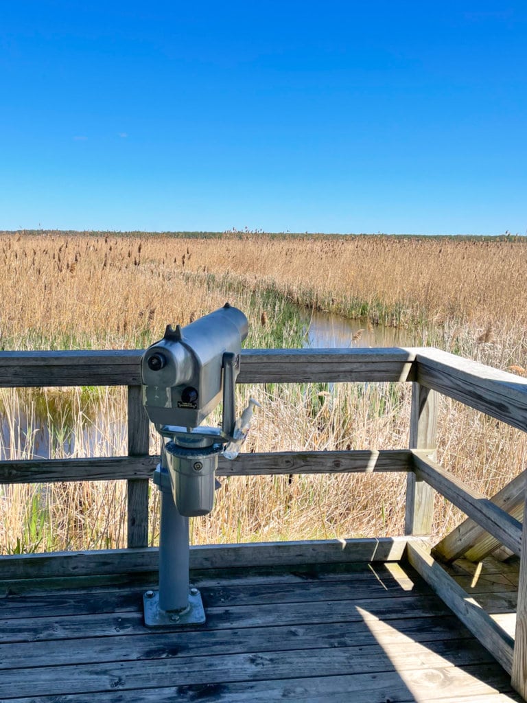 Telescope overlooking a marsh, meant to spot birds. 