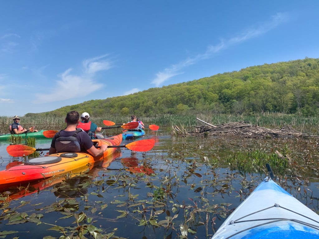 Four people kayaking on a creek with green hills in the distance. 