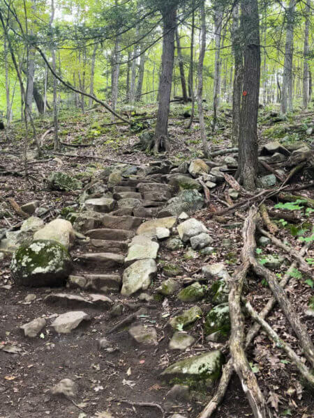 Hiking In Lake George, Ny