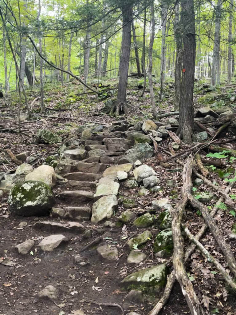 Stone steps built into a hiking trail in Lake George.