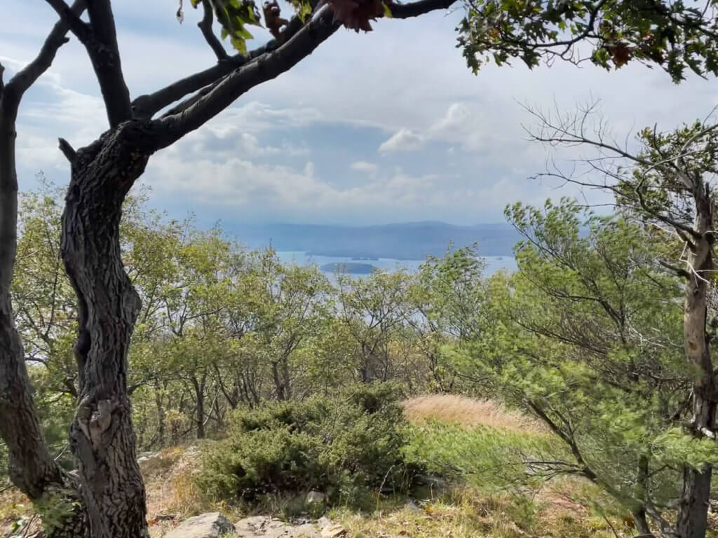 Tree line at mountain summit obstructs view to Lake George. 