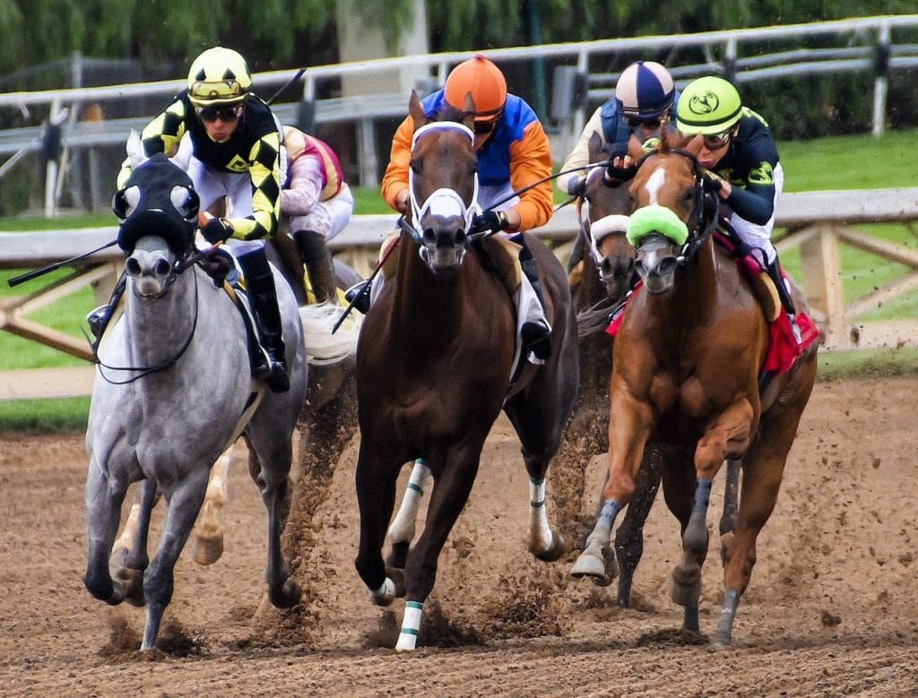 Three horses and jockeys in a horse race. 