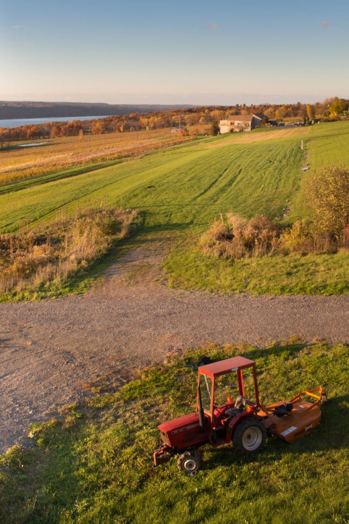 A recently-mowed field on the banks of Seneca Lake at sunset.