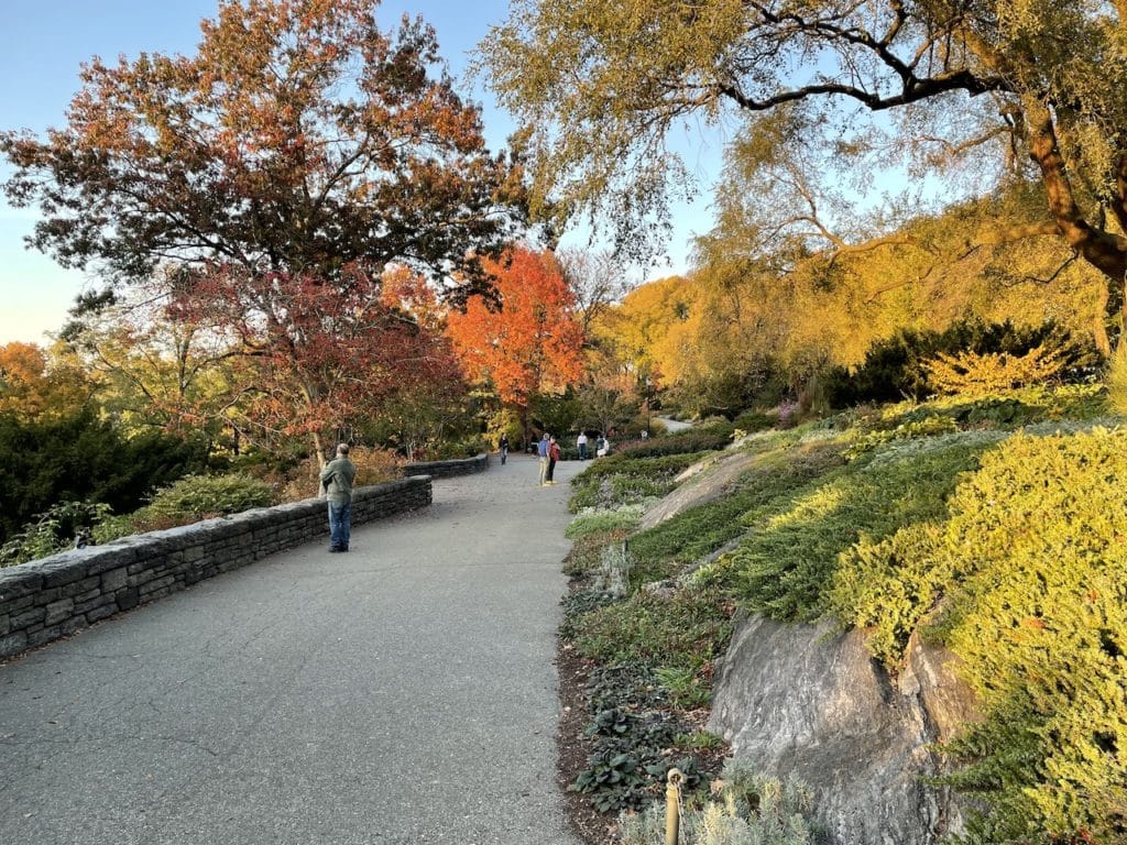 Paved path lined with rock garden and autumn colored trees in Fort Tryon Park. 