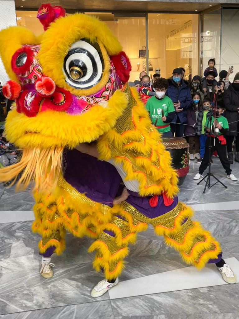 Traditional Chinese Dragon performing a dance at a Lunar New Year performance. 