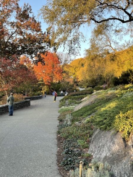 cropped-Fort-Tryon-Park-Autumn_2.jpg
