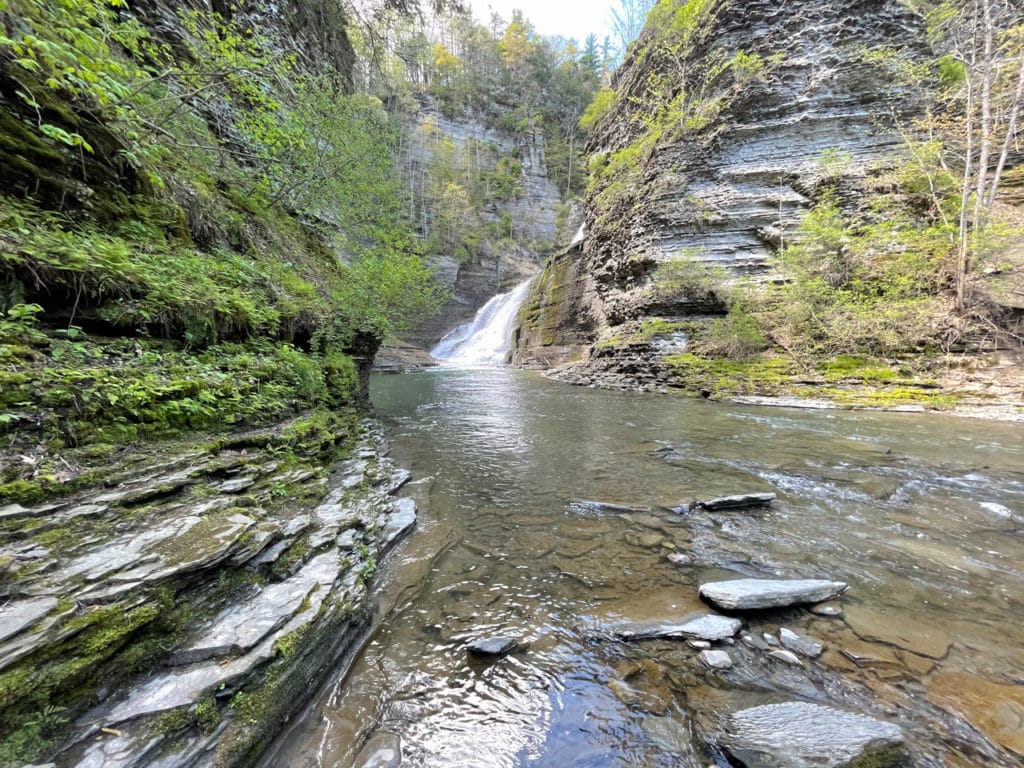 A creek within a gorge, leading to a small waterfall.