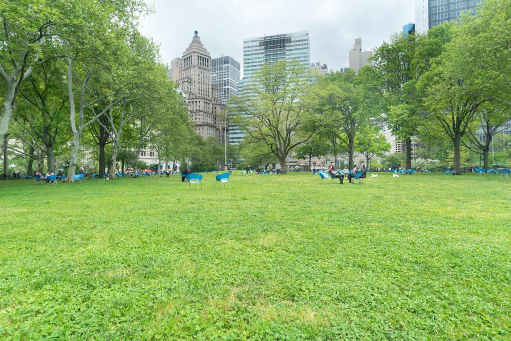 A lawn dotted with blue chairs at The Battery in New York City.