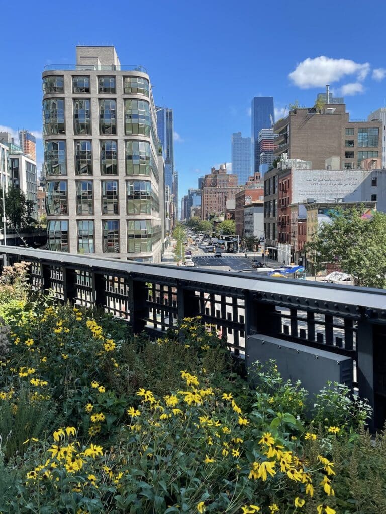 A patch of yellow flowers in the foreground and an apartment building with glass barrel-shaped windows in the background, on the High Line in New York City.