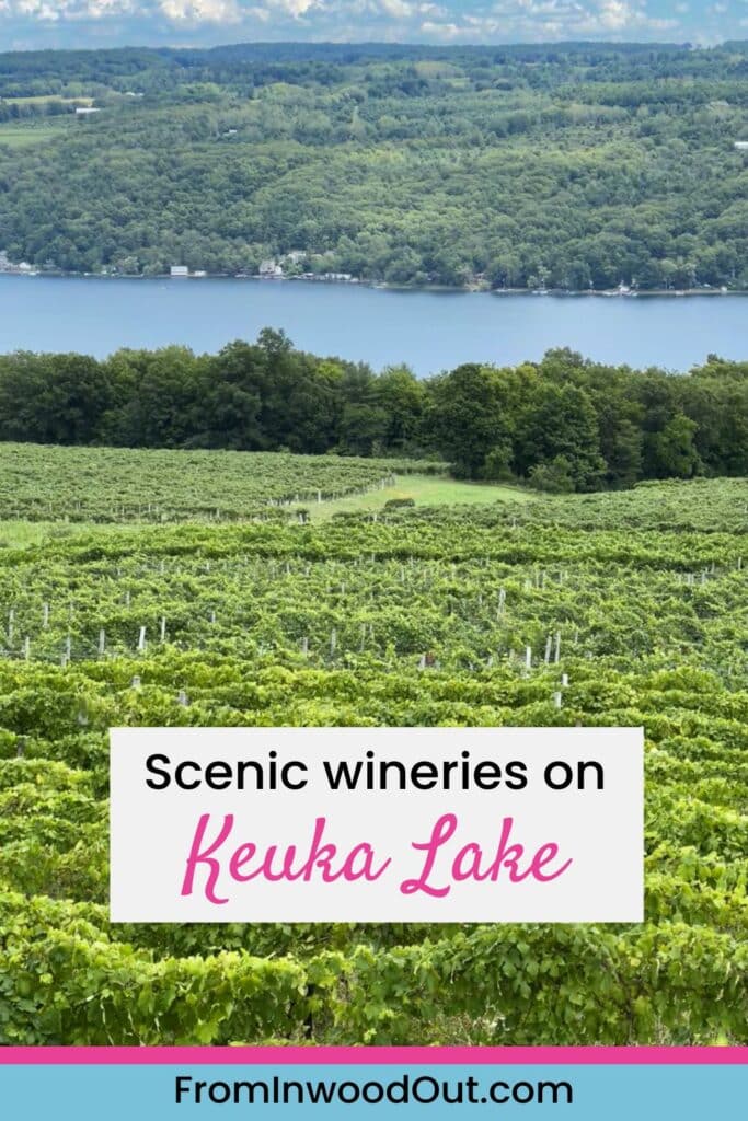 Vineyard on a slope leading down to a view of Keuka Lake in the Finger Lakes, NY.