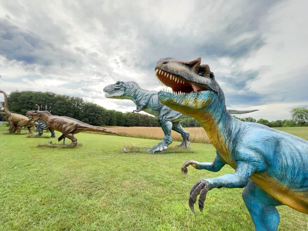 Life-sized dinosaurs as part of lantern festival at Castel Grisch Winery near Watkins Glen, NY.