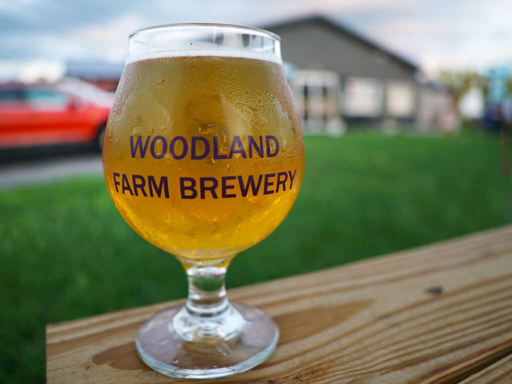 Glass of draft beer in a round glass at Woodland Farm Brewery.