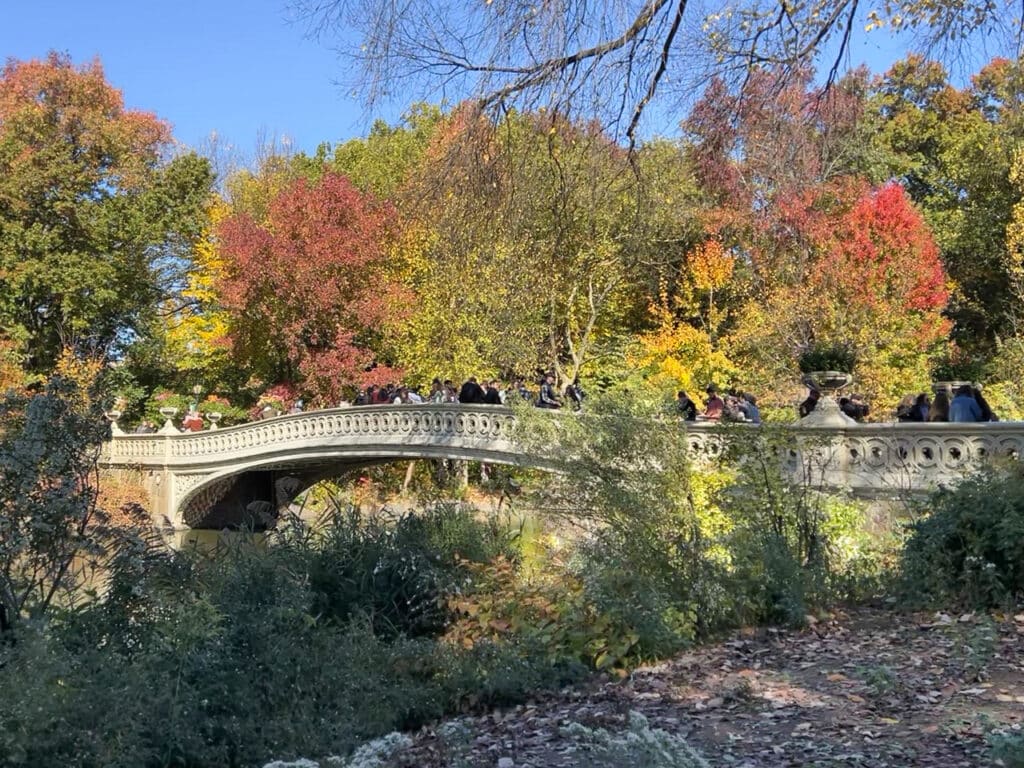 Bow Bridge in Central Park, surrounded by colorful trees during fall foliage season in New York City.