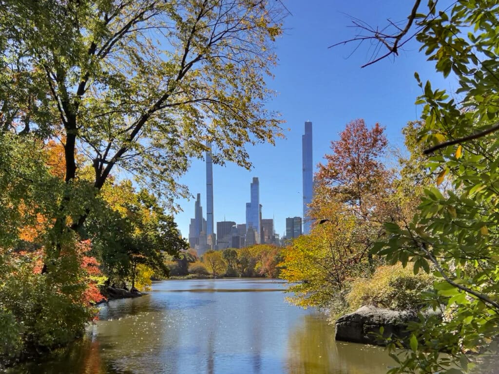 A pond with colorful trees on both sides and skyscrapers in the background in Central Park in New York City. 