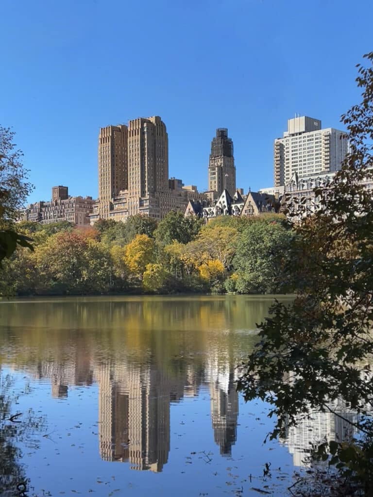 A pond and colorful trees during peak fall foliage season in Central Park in New York City.