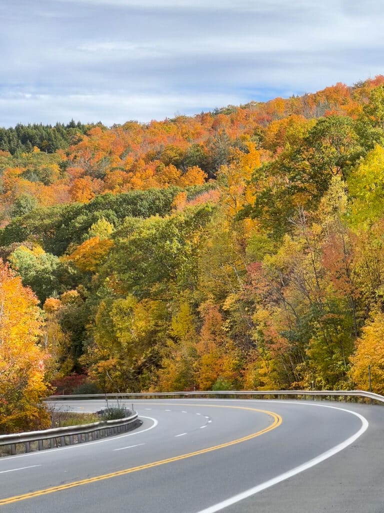 Portion of a road surrounded by colorful fall foliage in The Catskills. 