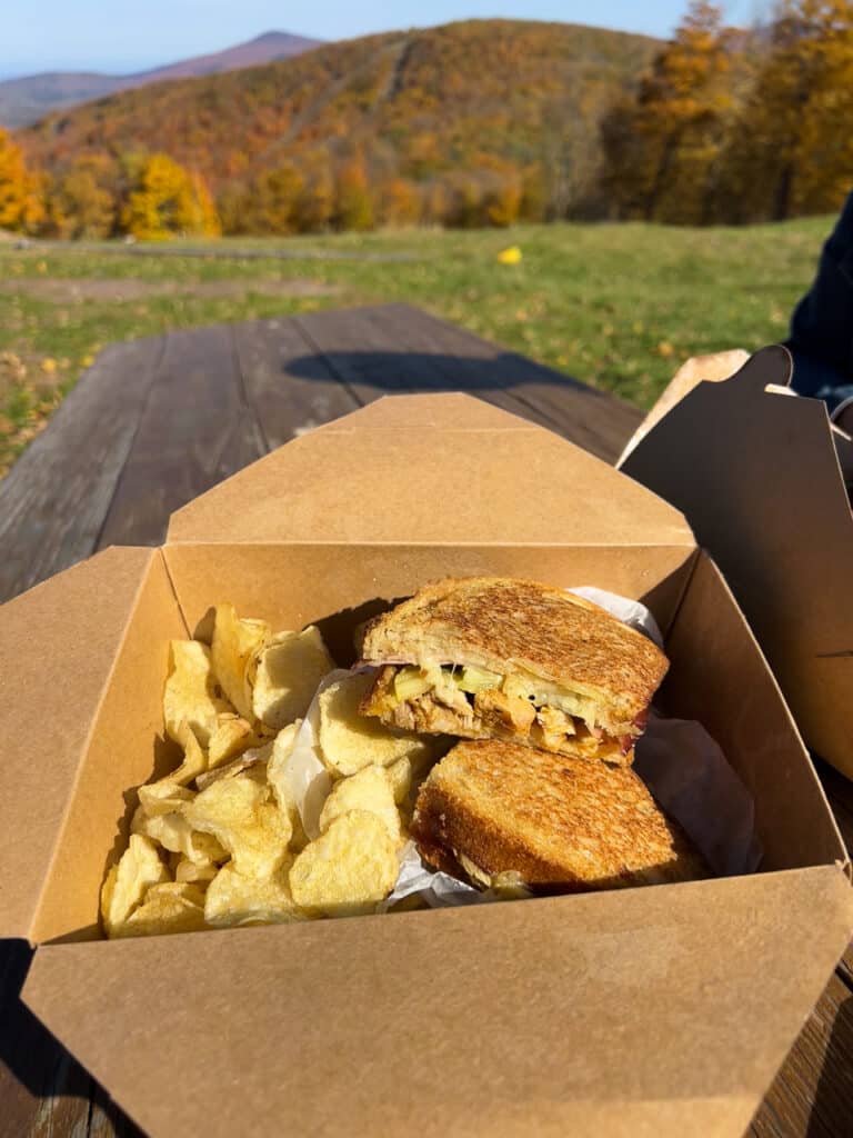Grilled pork sandwich and potato chips in a cardboard takeaway box.