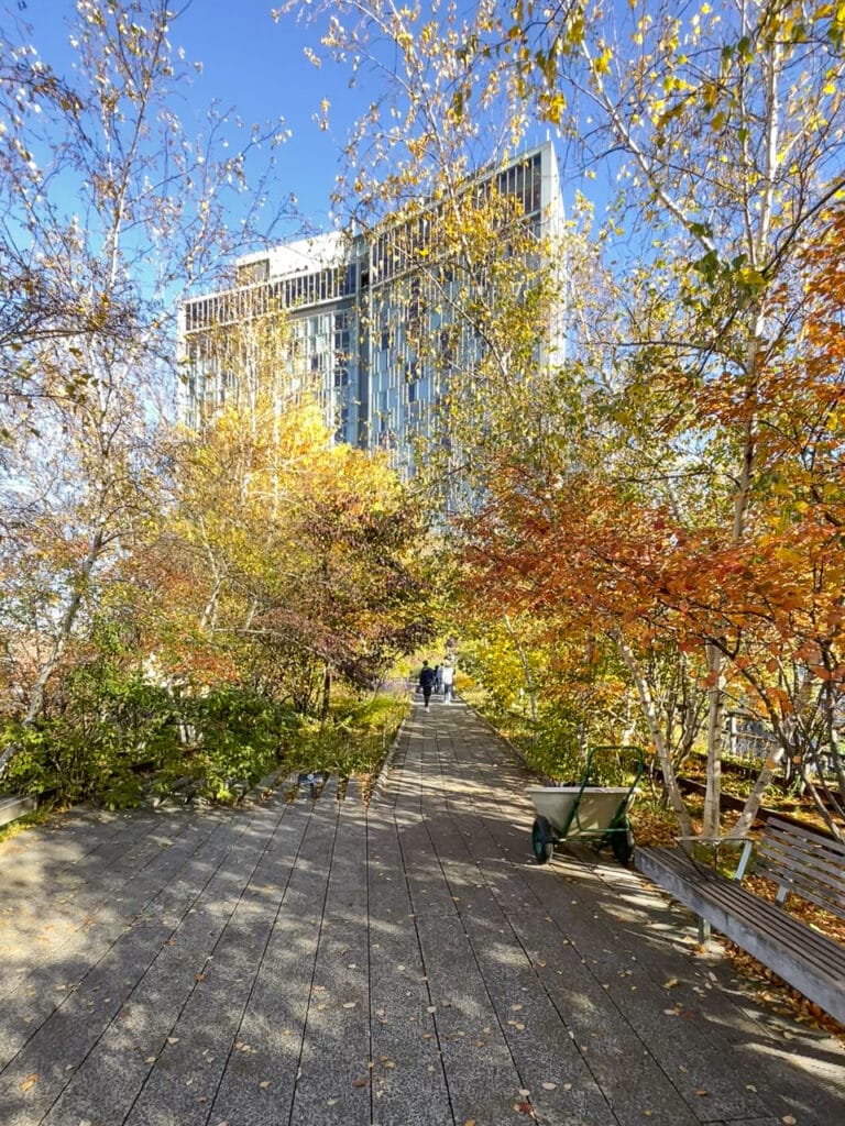 The Standard Hotel on the High Line in New York City, partially obscured small trees with colorful autumn leaves. 