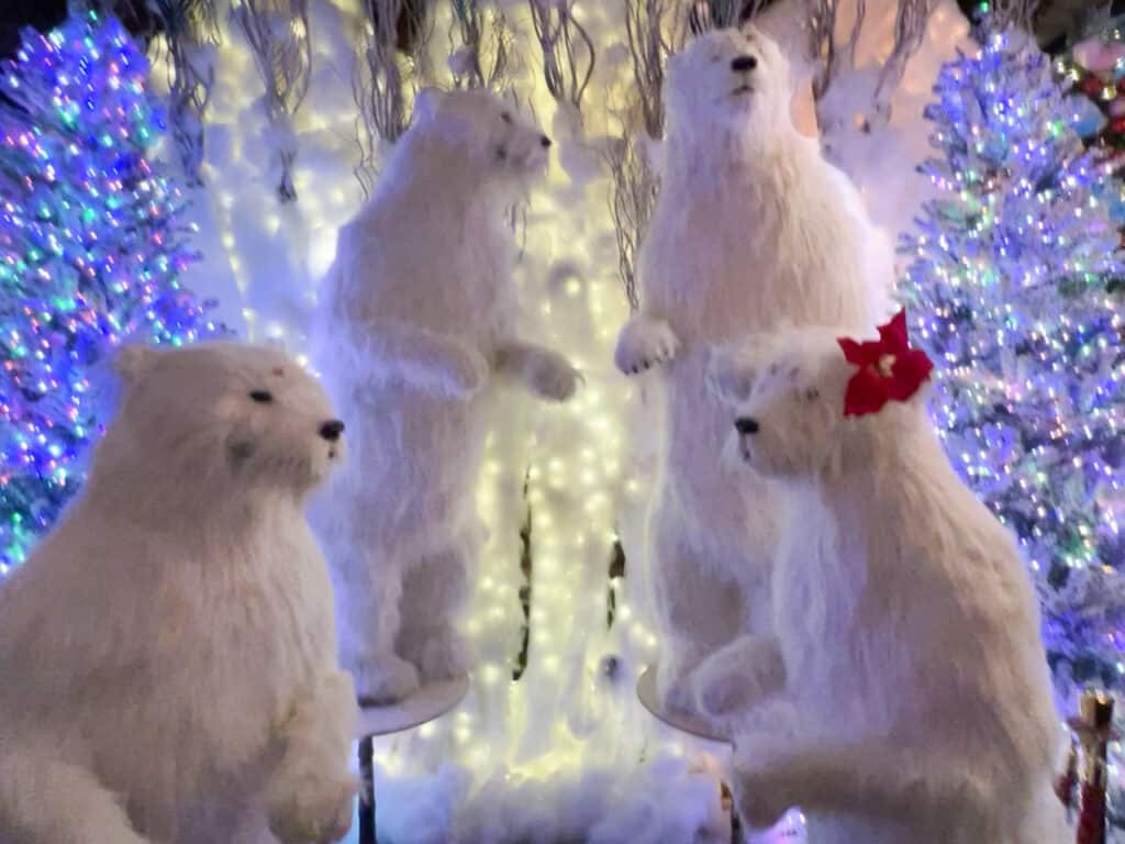 Large stuffed polar bears as part of a Christmas restaurant display.
