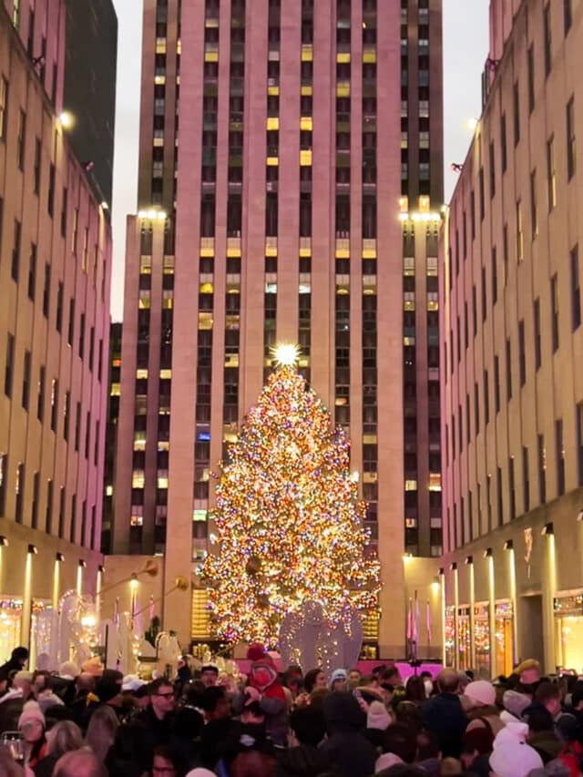 Things to do in New York City in December