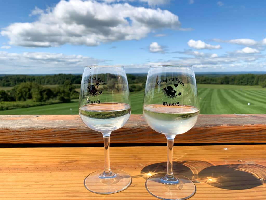 Two glasses of white wine with a long green field of grass in the background.