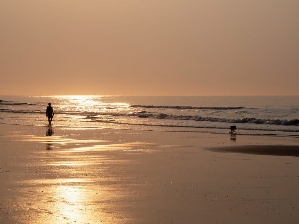 A person and a dog walking on a beach at sunset. 