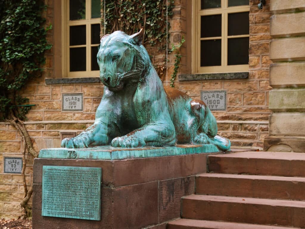 A bronze statue of a tiger in an oxidized green color at Princeton University in Princeton, NJ. 