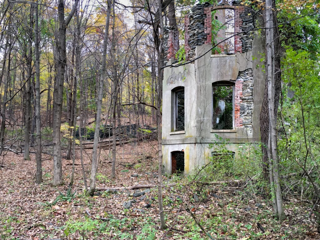 Ruins of a stone mansion in the woods. 