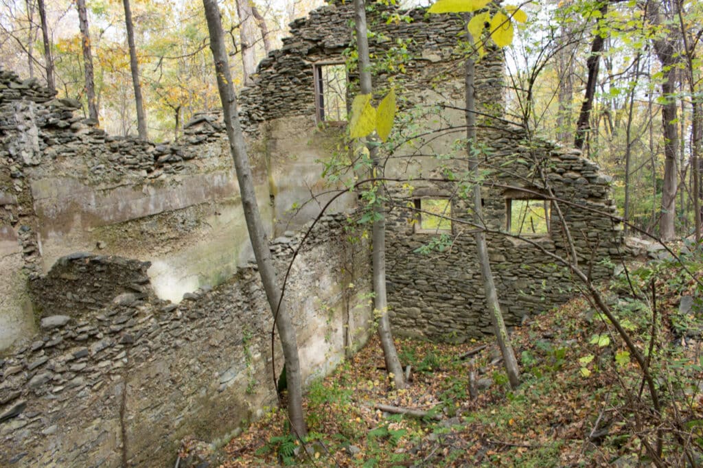 Ruins of a stone mansion in the woods. 