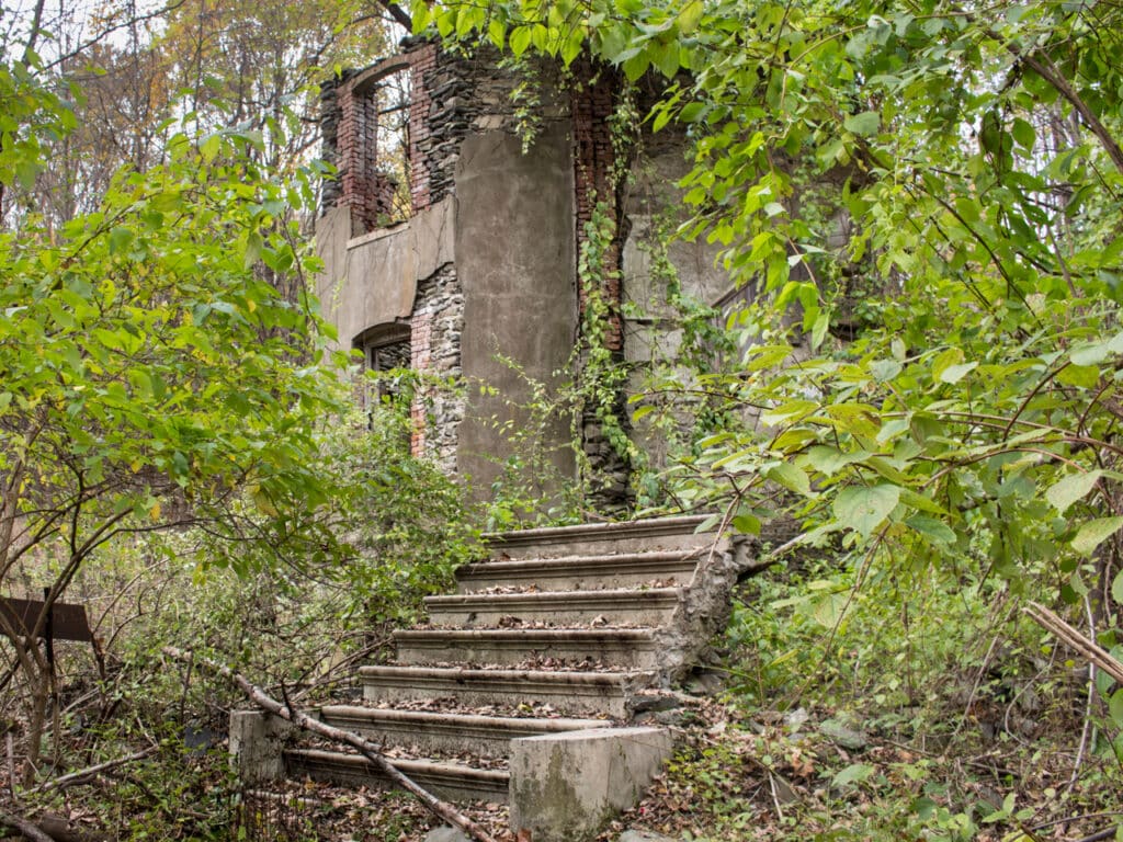 Ruins of a stone mansion covered in overgrown trees and leaves.