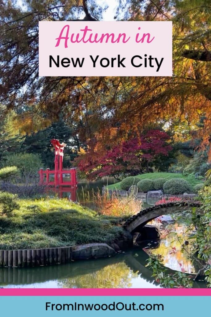 Pinterest graphic with an image of a Japanese garden and pond in the fall.