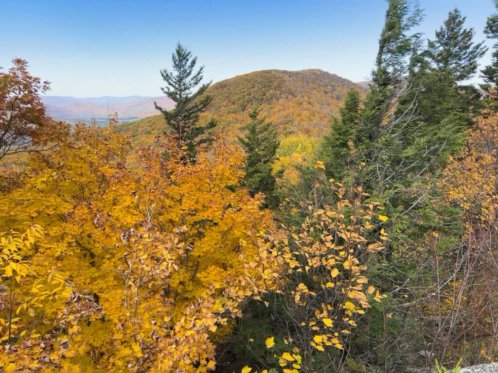 View from the peak of a mountain during fall foliage season in The Catskills. 