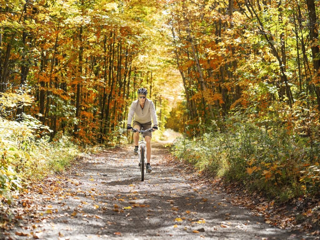 Person riding a bicycle on a trail in the woods during the fall.